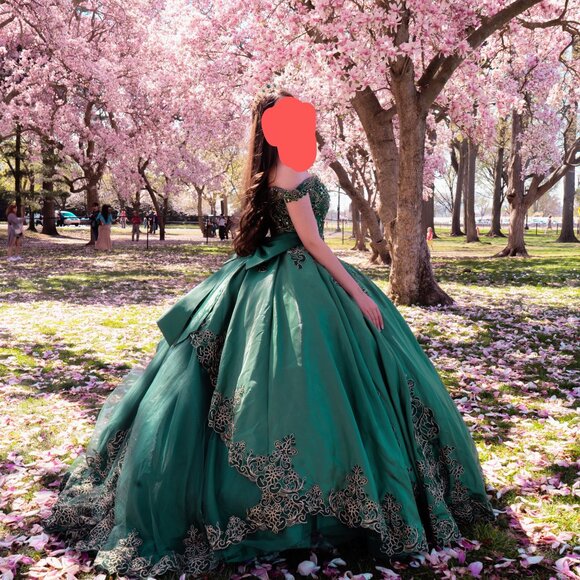 STUNNING Emerald Green Ballgown + Crown, Veil & Petticoat! - Picture 2 of 2